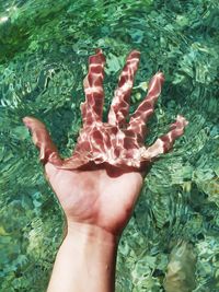 High angle view of person hand in swimming pool