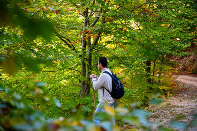 Rear view of man in forest