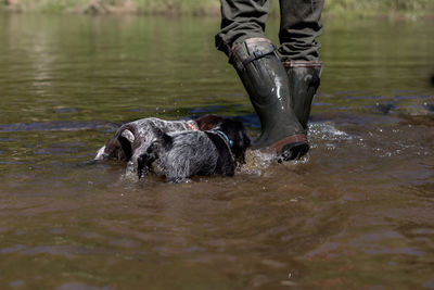 Low section of person with horse in lake