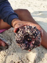 Local vendor holding sea urchin on beach