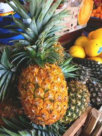 Close-up of fruits