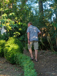 Rear view of man standing in forest