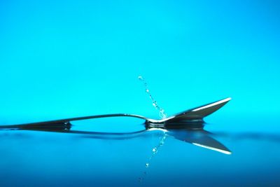 Close-up of insect on water against blue background