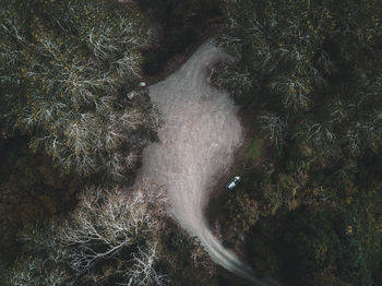 High angle view of road amidst trees in forest