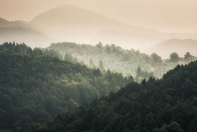 Scenic view of trees and mountains during foggy weather