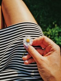 Close-up of woman hand holding red flower