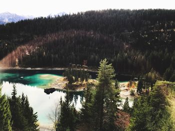 Scenic view of lake in forest against sky