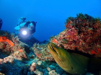 Man with flashlight looking at fish swimming in sea