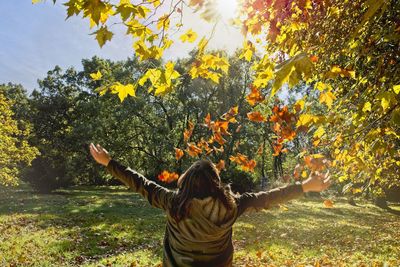 Rear view of woman with arms outstretched standing in park during autumn