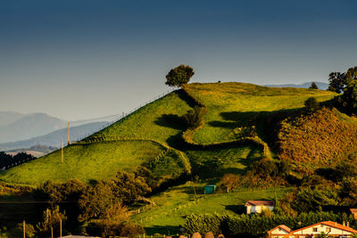 Scenic view of landscape against clear sky