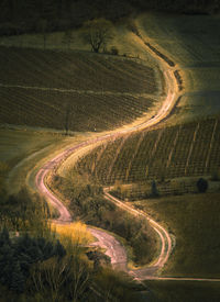 High angle view of agricultural field