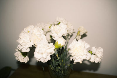 Close-up of white flowers