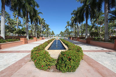 A fountain surrounded by plants and palm trees