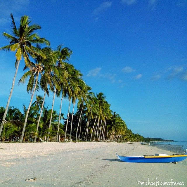 palm tree, beach, tree, sea, blue, sky, water, sand, tranquility, shore, tranquil scene, horizon over water, scenics, nature, growth, beauty in nature, coconut palm tree, tropical climate, transportation, tree trunk