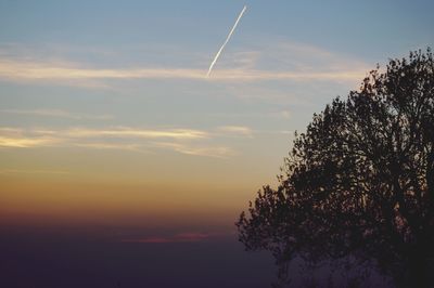 Low angle view of silhouette tree against sky at sunset