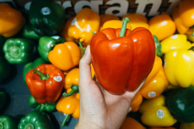 Close-up of woman holding bell peppers