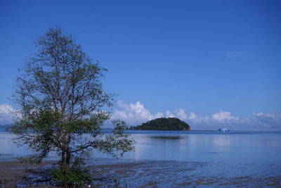 Scenic view of sea against blue sky