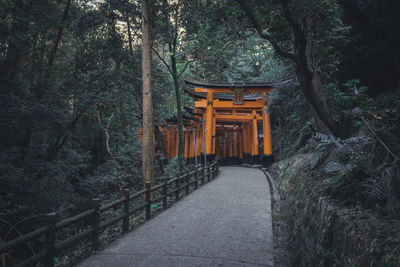 Footbridge amidst trees in forest