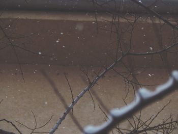 Close-up of water drops on white background