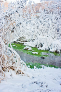 Frozen landscape