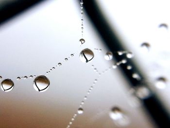 Close-up of water drops on glass