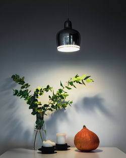 Illuminated pendant light hanging over pumpkin and plant