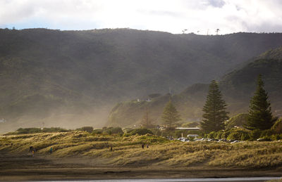 Fog over piha beach