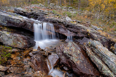 Scenic view of waterfall in forest