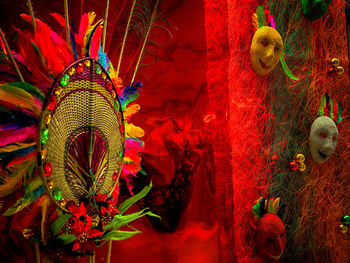 Close-up view of multi colored leaves