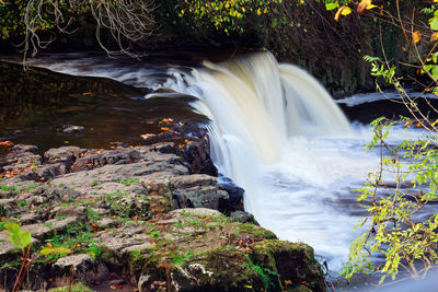 Scenic view of waterfall