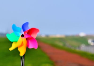 Close-up of multi colored toy against blue sky