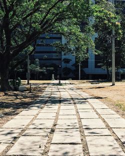 Empty footpath in park