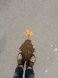 Low section of man standing on road