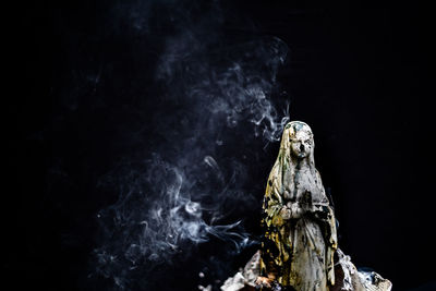 Low angle view of tree trunk against black background