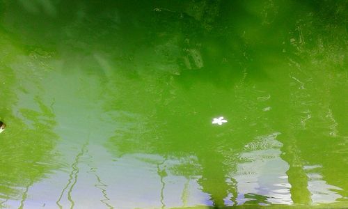 Full frame shot of lake