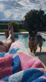 Low section of person with dog by water against sky