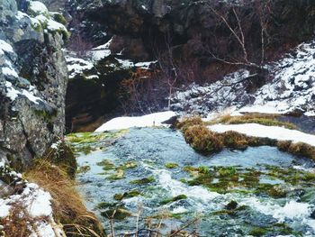 Scenic view of river amidst trees during winter