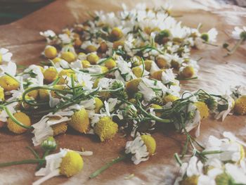 High angle view of chopped vegetables on table