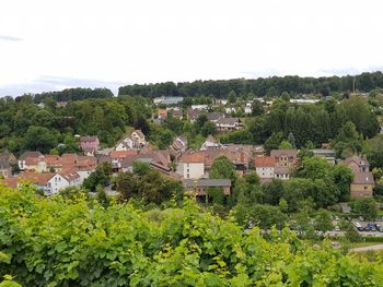 Houses by trees against sky