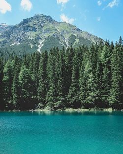 Scenic view of lake by mountain against sky