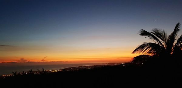 Silhouette plants by sea against sky during sunset