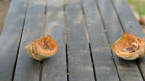 High angle view of fruits on table