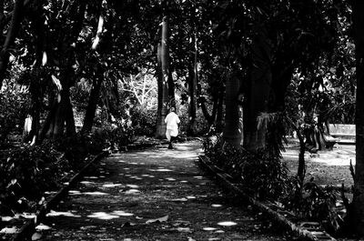 Rear view of woman walking amidst trees