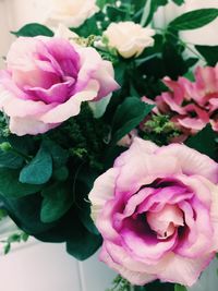 Close-up of pink flowers blooming outdoors