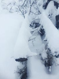 Scenic view of snow covered landscape