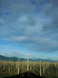 Scenic view of landscape against sky