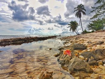 Scenic view of beach against sky