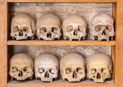 Close-up of skulls on shelves