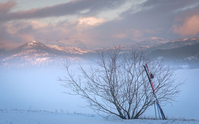 Bare tree against sky during winter