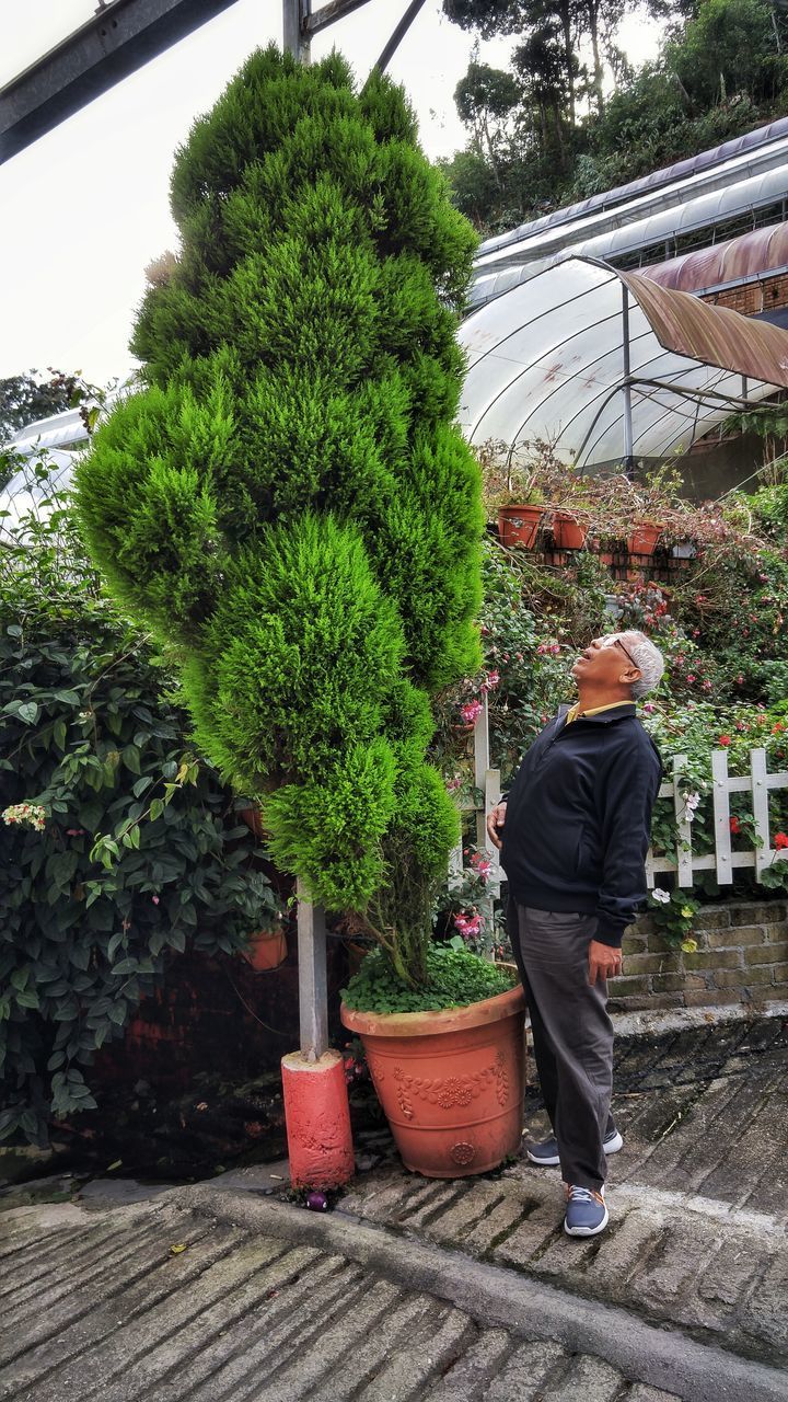 REAR VIEW OF MAN STANDING AGAINST POTTED PLANTS